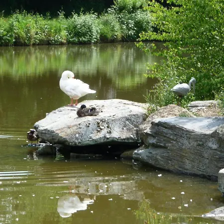 Splendid Chalet In With Fenced Garden
